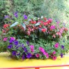 container-flowers