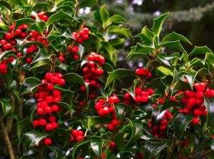 image of Holly at Downside