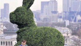 An example of topiary - perhaps not quite what we have at Downside Nurseries